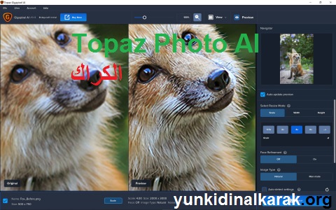 Topaz Photo AI الكراك زائد مفتاح التنشيط