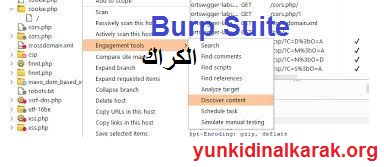 Burp Suite الكراك مجاني كامل مفعل تحميل مجاني